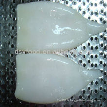 IQF Frozen Squid Tube